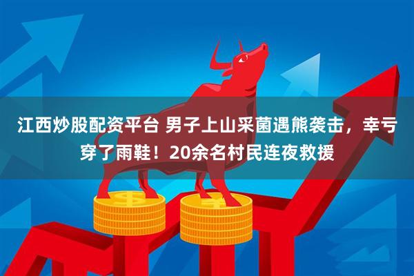 江西炒股配资平台 男子上山采菌遇熊袭击，幸亏穿了雨鞋！20余名村民连夜救援