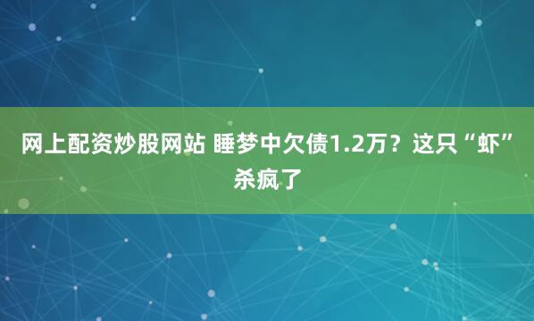 网上配资炒股网站 睡梦中欠债1.2万？这只“虾”杀疯了