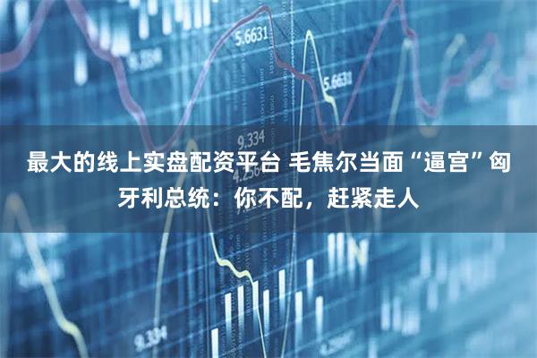 最大的线上实盘配资平台 毛焦尔当面“逼宫”匈牙利总统：你不配，赶紧走人